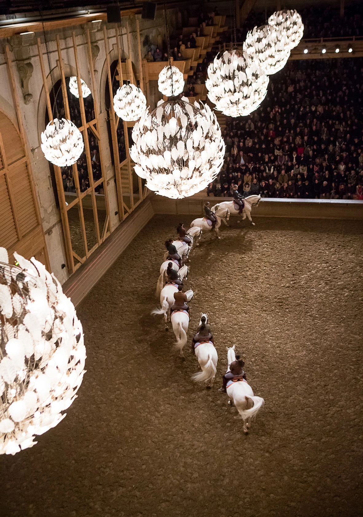 spectacle équestre manège de l'académie équestre de versailles